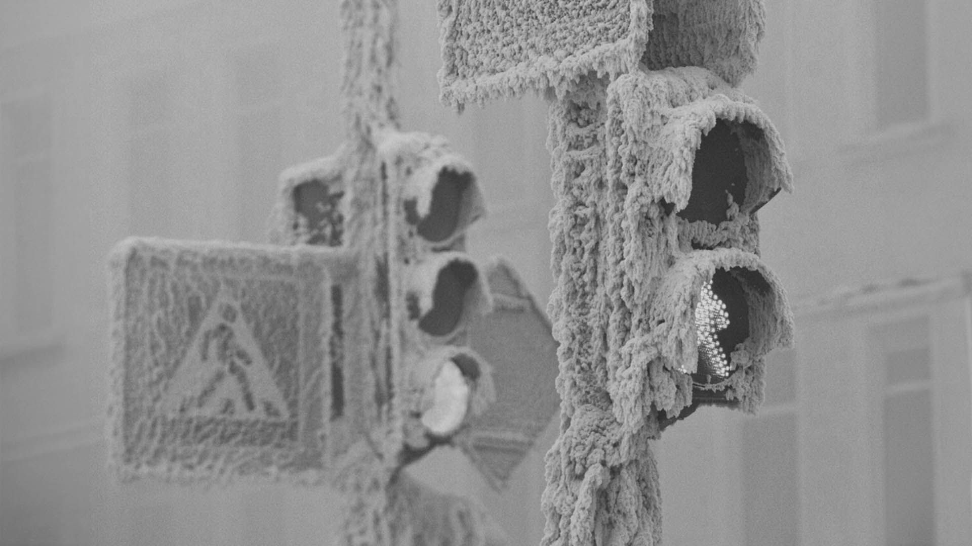 Тело Ленина снова в деле, или Стрелков и кремлёвские куранты