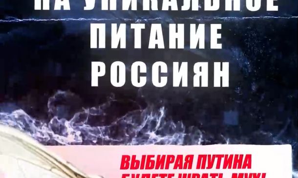 глосуй за Стрелкова