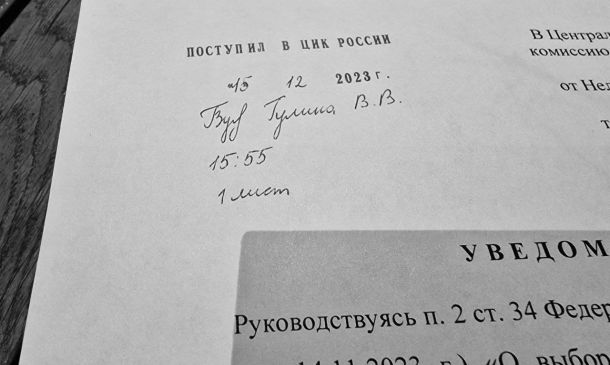 Стрелкова кандидат в Президенты РФ